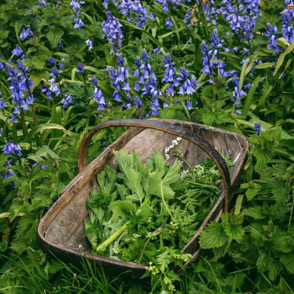 Processed with VSCO with 6 preset Processed with VSCO with 6 preset